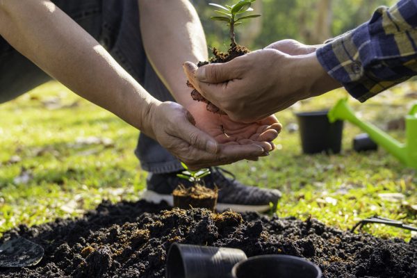 Two men are planting trees and watering them to help increase oxygen in the air and reduce global warming, Save world save life, and Plant a tree concept.